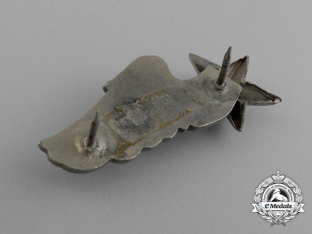 a_south_vietnam_air_force_half_wing_d_9593_1