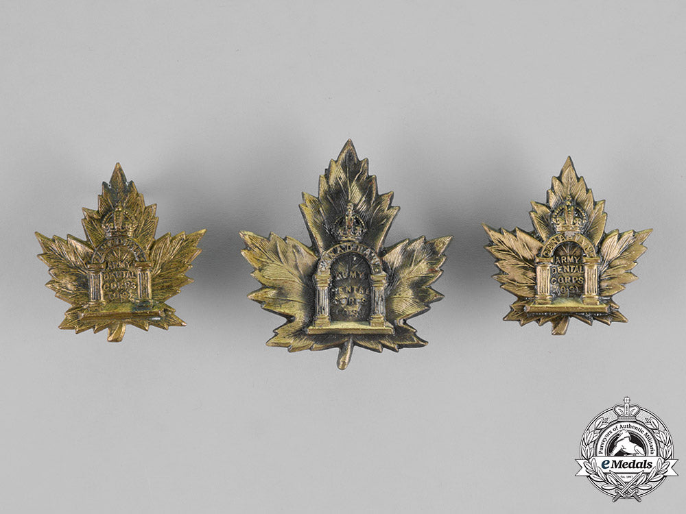 canada._a_canadian_army_dental_corps_insignia_set,_c.1917_dsc_0590