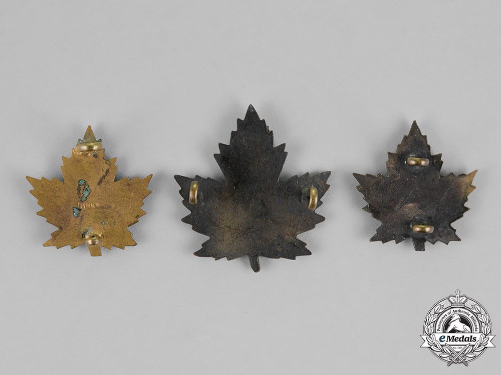 canada._a_canadian_army_dental_corps_insignia_set,_c.1917_dsc_0592