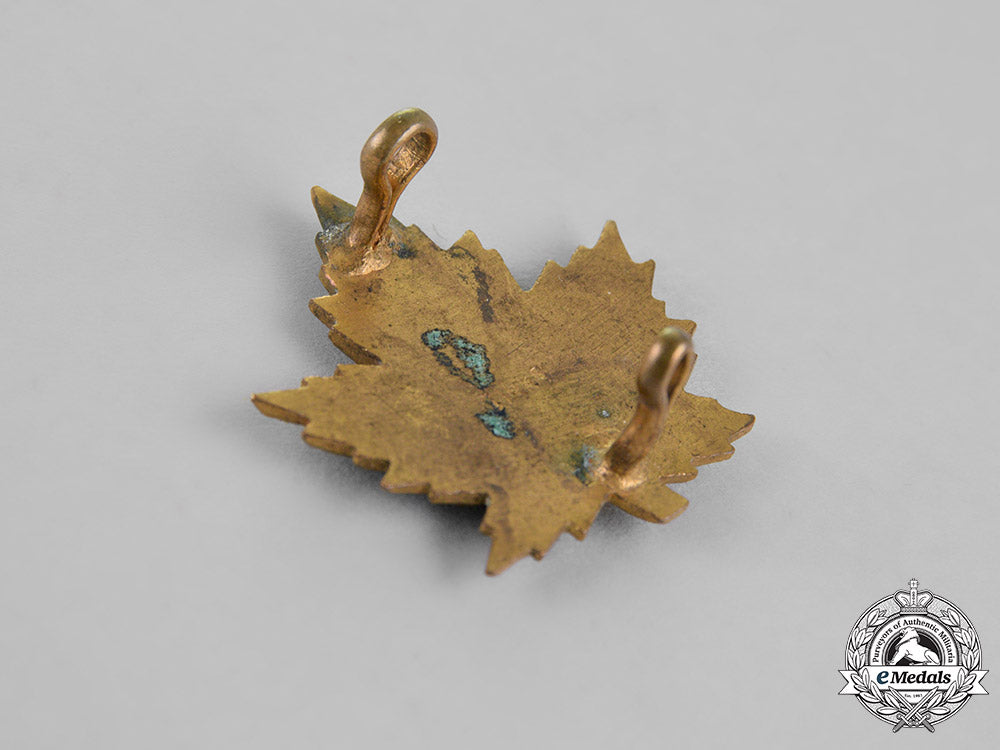 canada._a_canadian_army_dental_corps_insignia_set,_c.1917_dsc_0594