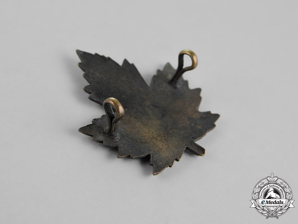 canada._a_canadian_army_dental_corps_insignia_set,_c.1917_dsc_0595