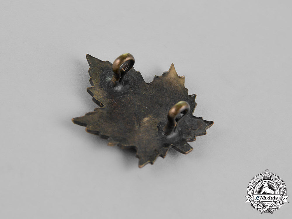 canada._a_canadian_army_dental_corps_insignia_set,_c.1917_dsc_0597