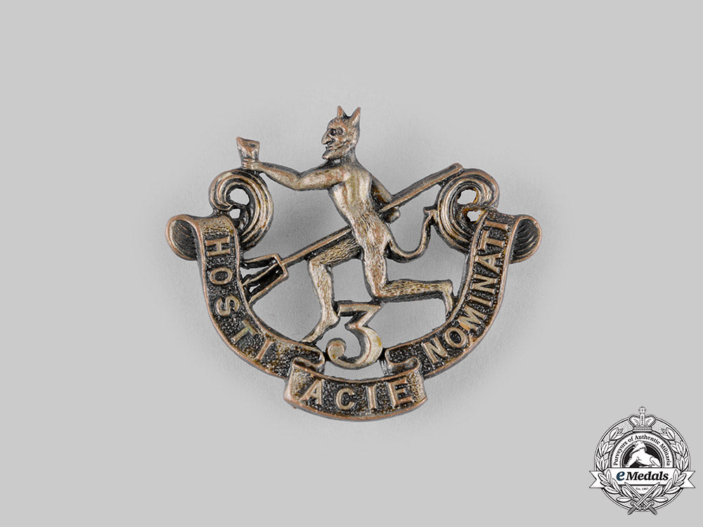canada,_cef._a144_th_infantry_battalion"_winnipeg_rifles"_cap_badge,_c.1915_dsc_8964