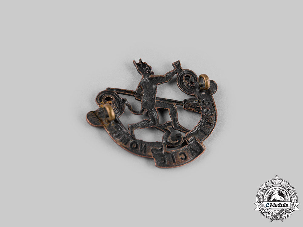 canada,_cef._a144_th_infantry_battalion"_winnipeg_rifles"_cap_badge,_c.1915_dsc_8969