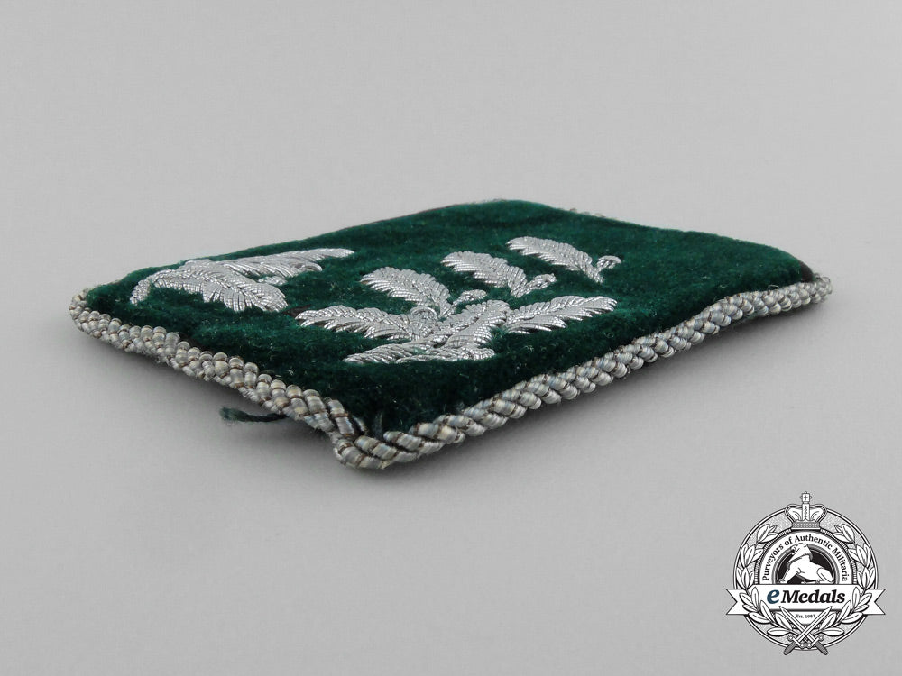 a_single_german_forstmeister_rank_collar_tab_dscf0875_2_