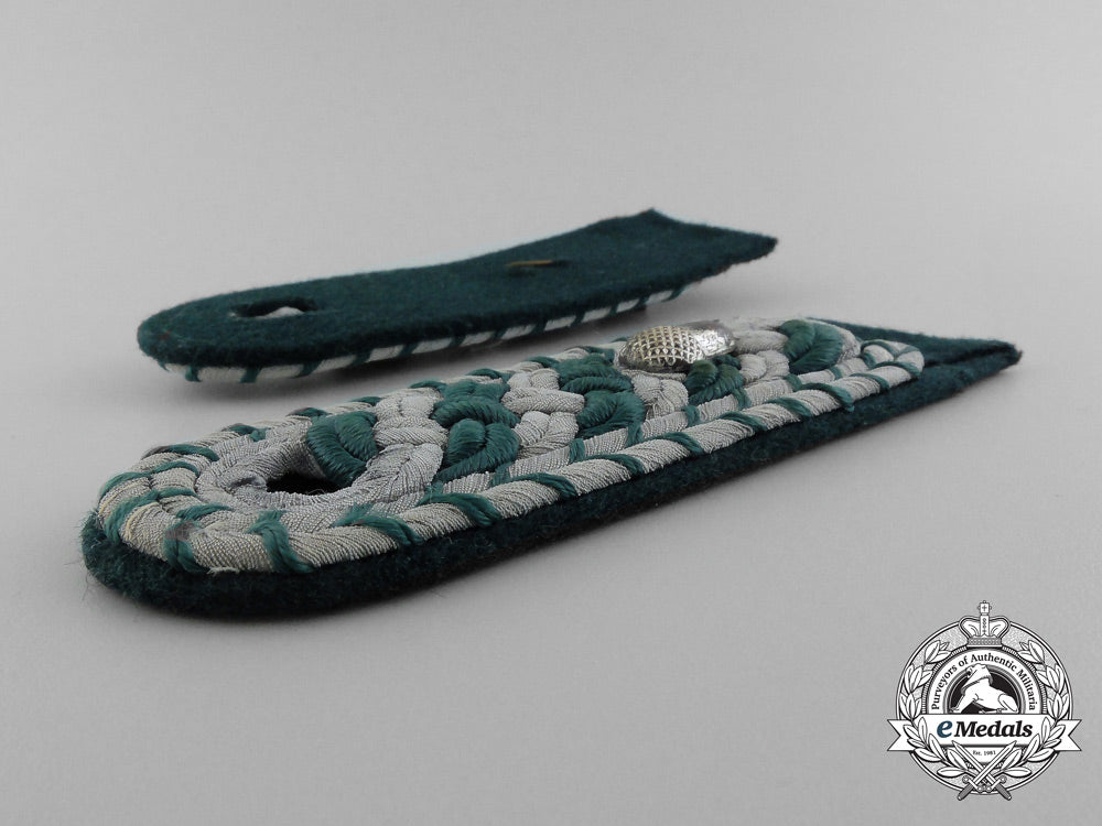 a_set_of_german_collar_tabs_of_a_private_forestry_service_official_dscf0884_2_