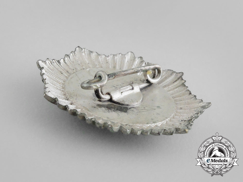 a_german_imperial_guards_veterans_society_twenty-_five_years'_service_badge_dscf0933_2_