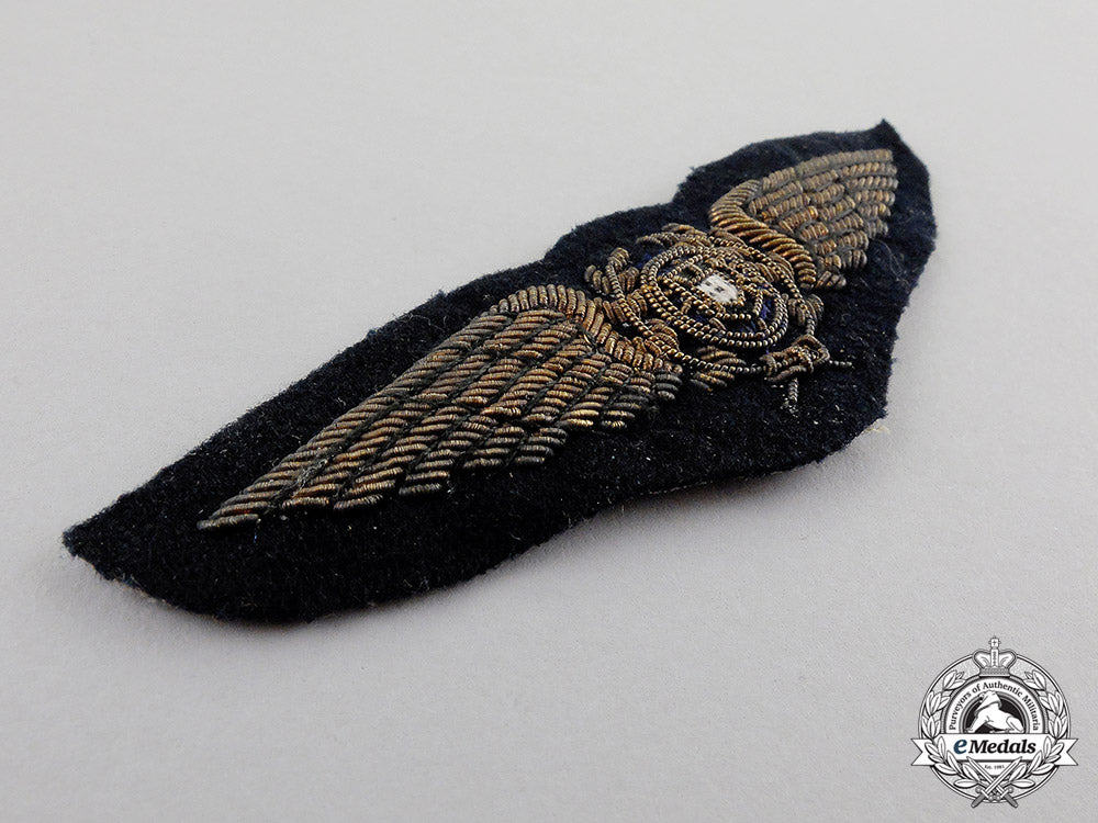 portugal._an_air_force_pilot_wing_dscf6885