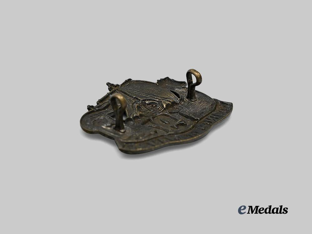 canada,_c_e_f._a197th_infantry_battalion"_scandinavian_overseas_battalion/_vikings_of_canada"_cap_badge_e_medals__c7402_4