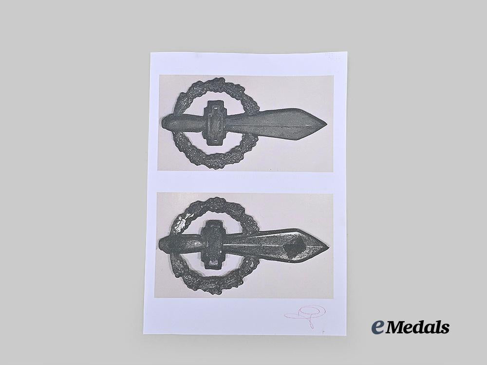italy,_social_republic._a_rare_battaglione_moschettieri_delle_alpi_cap_badge,_with_certificate_of_authenticity_e_medals__e_u24578_6