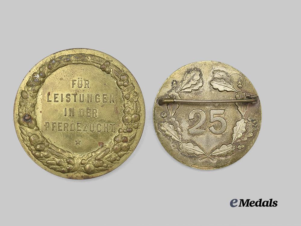 germany,_third_reich._a_pair_of_reichsnährstand_merit_decorations_e_medals__g50442_3