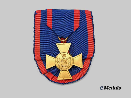 oldenburg,_grand_duchy._a_house_and_merit_order_of_peter_friedrich_ludwig,_i_class_honour_cross_e_medals__g61309_10