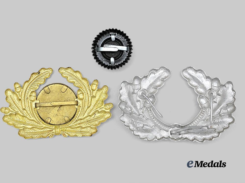 germany,_third_reich._a_pair_of_visor_cap_cockades_e_medals__g61871_3