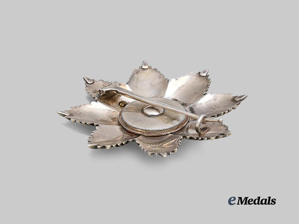 schaumburg-_lippe,_principality._a_rare_house_order,_i_class_breast_star_with_swords_e_medals__g62178_5