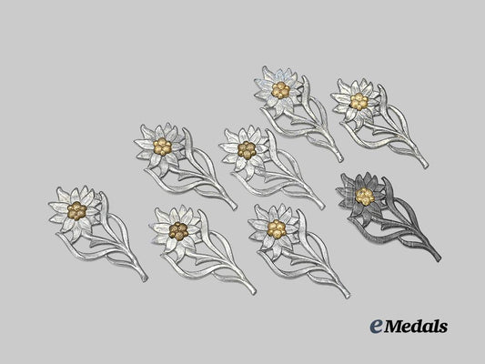 germany,_s_a._a_lot_of_edelweiss_insignia_for_service_caps_e_medals__g62462_2