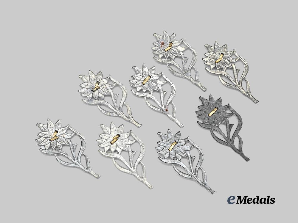 germany,_s_a._a_lot_of_edelweiss_insignia_for_service_caps_e_medals__g62462_3