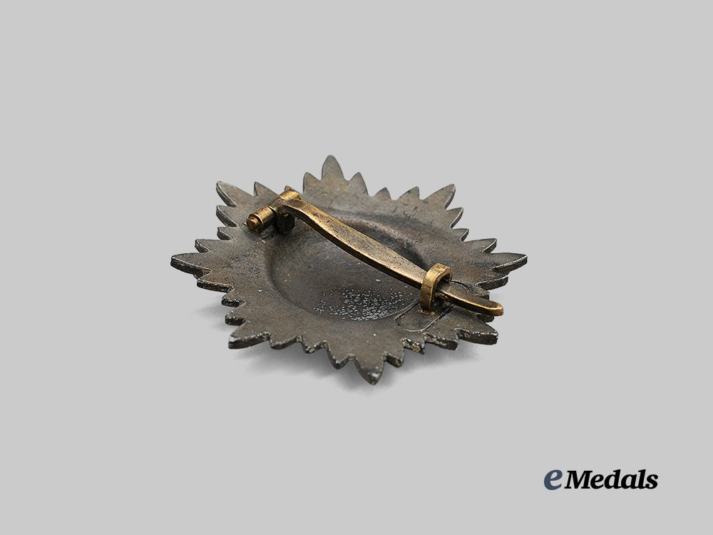 germany,_wehrmacht._an_eastern_peoples_bravery_decoration,_i_class_in_gold_e_medals__g64429_5