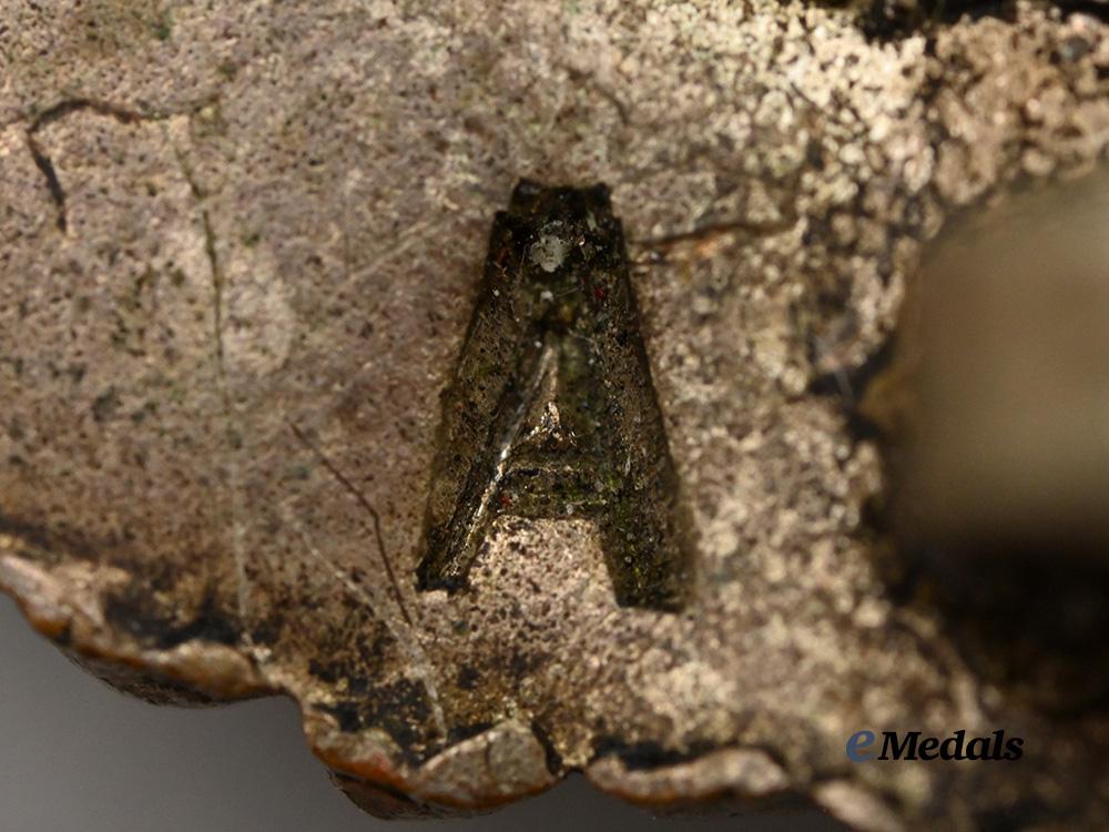germany,_federal_republic._an_observer_badge,_early1957_version_e_medals__m0332-39_5