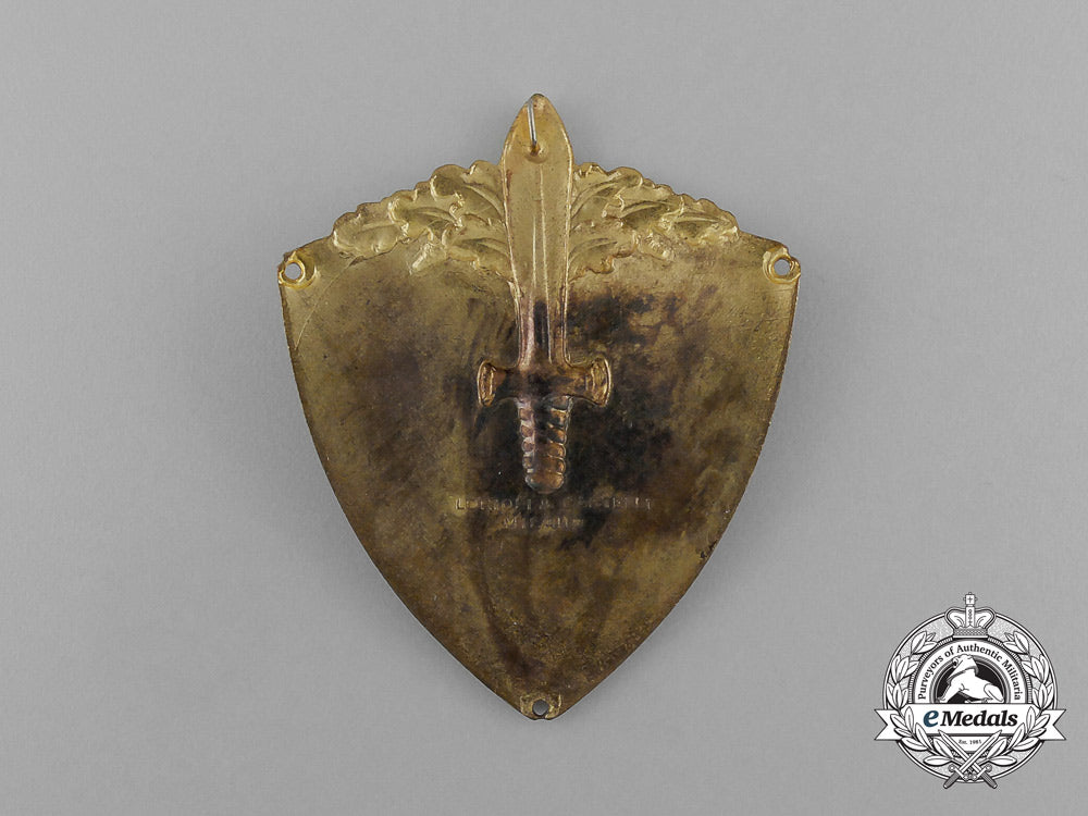 an_italian9_th_infantry_division"_pasubio"(9ª_divisione_di_fanteria"_pasubio")_sleeve_shield_e_0662