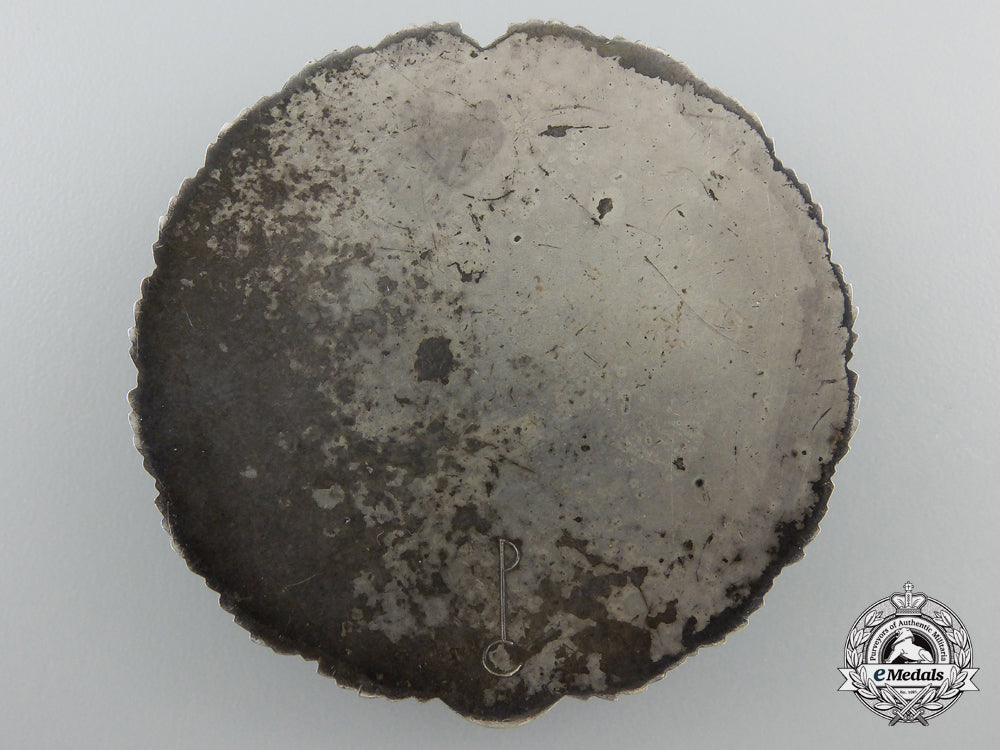 germany._an_sa_expert_german_horseman's_badge_e_279