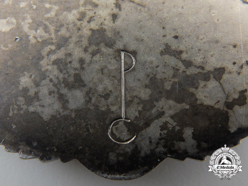 germany._an_sa_expert_german_horseman's_badge_e_281_1