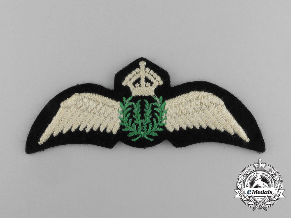a_british_civil_pilot_wing_e_3045