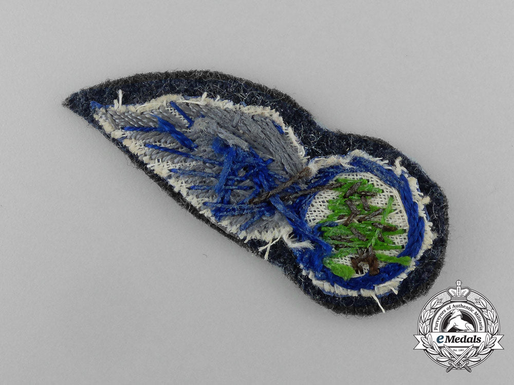 a_lebanese_air_force_pilot_badge_e_3420