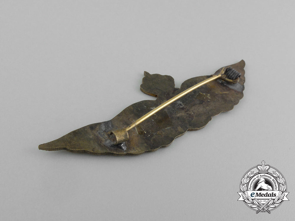 a_royal_saudi_air_force_pilot_badge_e_5142