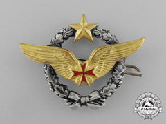A French Air Force Patient Pilot Badge