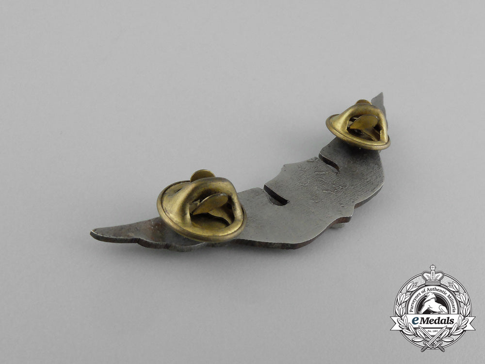 an_ecuadorian_army_air_force"_aee"_pilot_badge_e_6983