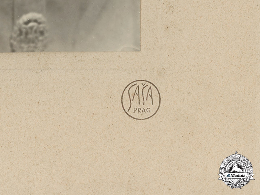 a_large1_st_ss_panzer_division_leibstandarte_ss_ah_photograph_e_771