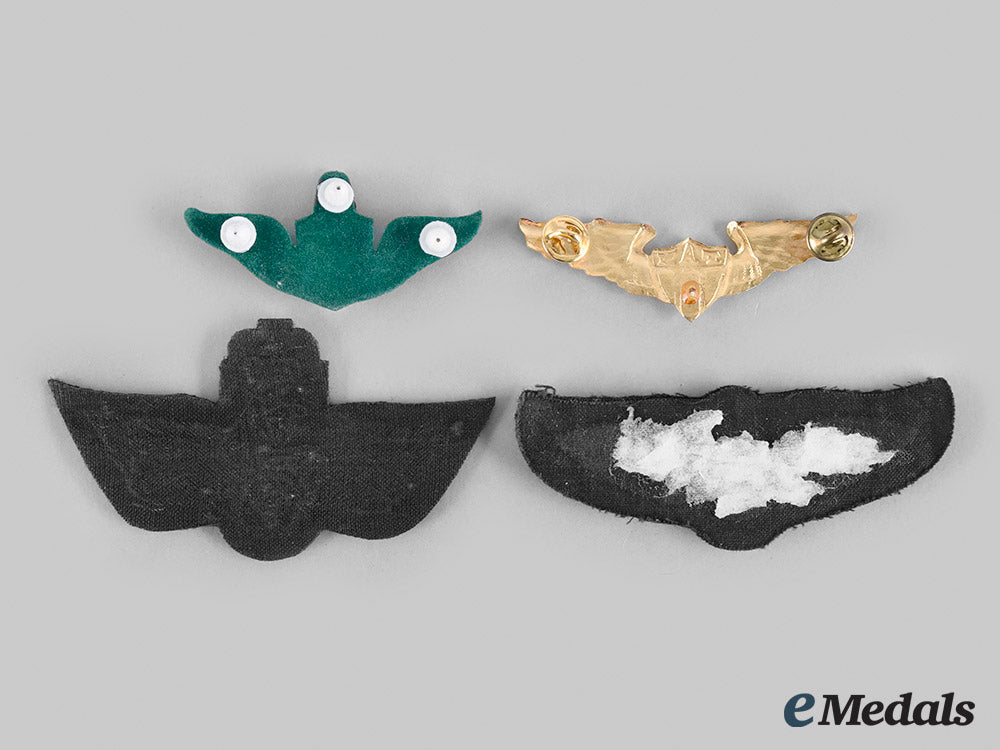 mexico._norway,_saudi_arabia,_thailand._a_lot_of_four_air_force_badges__emd0062_m20_01755_1