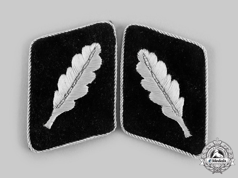 germany,_ss._a_set_of_ss-_standartenführer_collar_tabs__emd4182_c20_02363_1