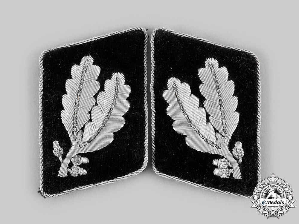 germany,_ss._a_set_of_ss-_oberführer_collar_tabs__emd4223_c20_02372_1