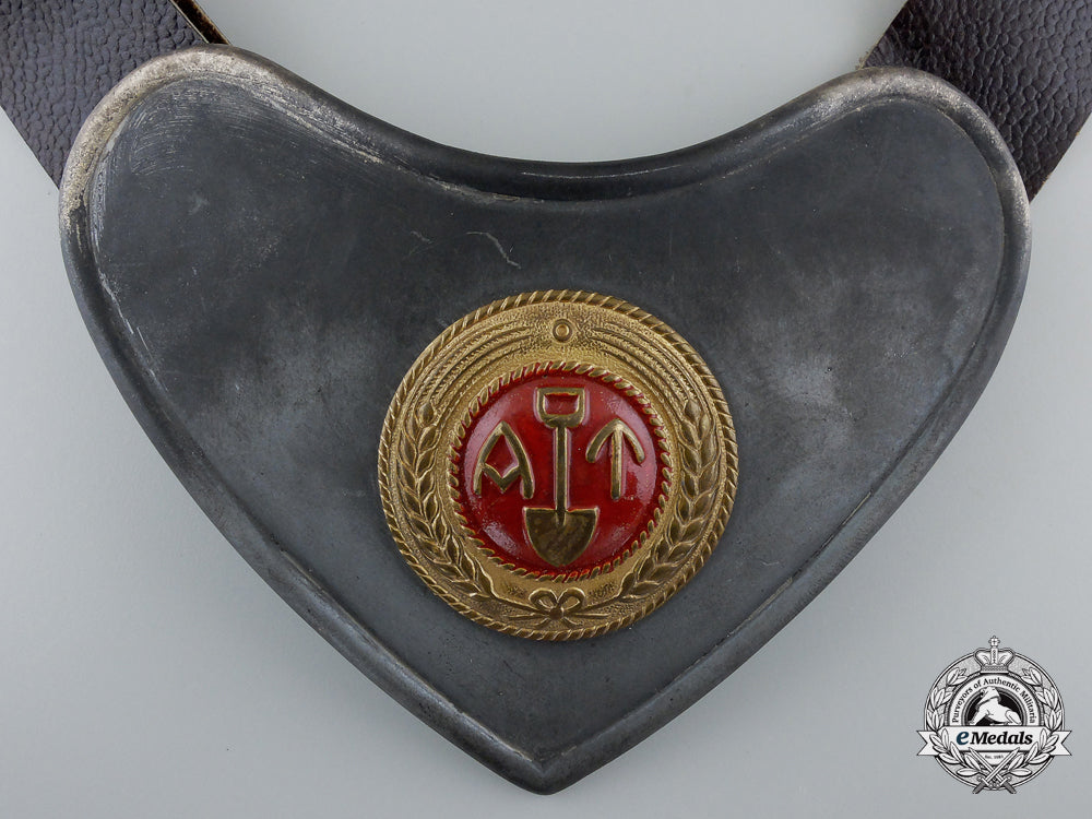 a_second_war_norwegian_labour_service_gorget_f_195