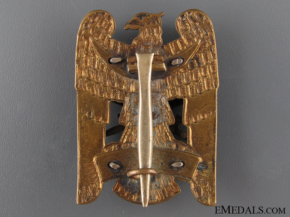 silesian_eagle_with_swords-_first_class_f.jpg520bc8f79798b