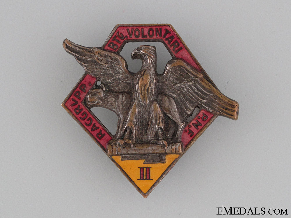 fascist_party2_nd_volunteer_battalion_badge_fascist_party_2n_5283883531634