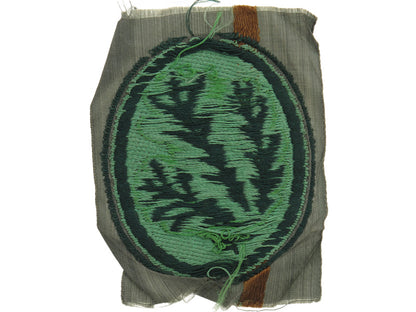 jager_regiment_cloth_patch._gra3568-0002