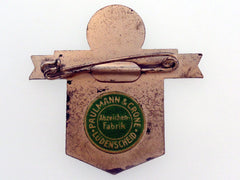 German Flight Day Badge 1934