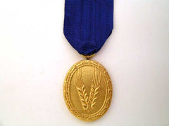 D Long Service Award 1St. Class