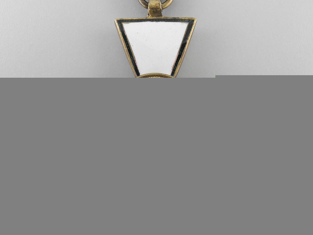 a_hungarian_order_of_merit;_knight5_th_class_h_579