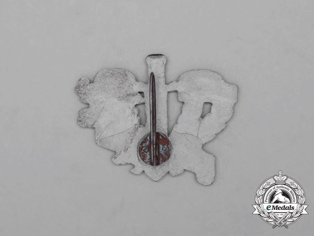 a_third_reich_period“_fit_for_military_service”_badge_i_364