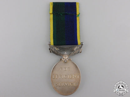 an_efficiency_medal_to_the_territorial_and_army_volunteer_reserve_img_02.jpg553fee3c7078e