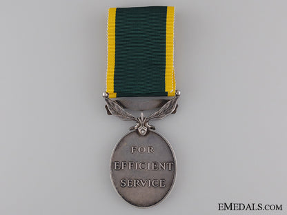 efficiency_medal_to_the_royal_artillery_img_02.jpg53e140188d126