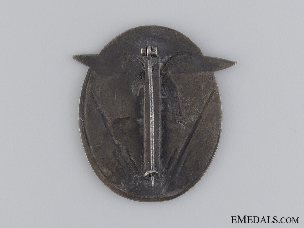 a_rare_danzig_flak_badge_img_02.jpg53f7aa0471c42