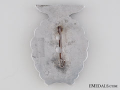 Badge Of The Sa-Meeting Brunswick 1931