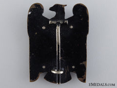 A First Class Silesian Eagle