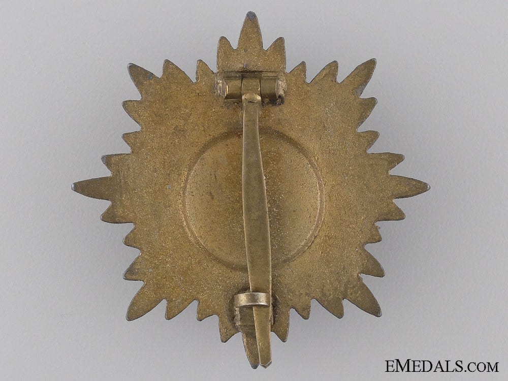 a_first_class_ostvolk_decoration;_gold_grade_with_swords_img_02.jpg53d16307aebd6