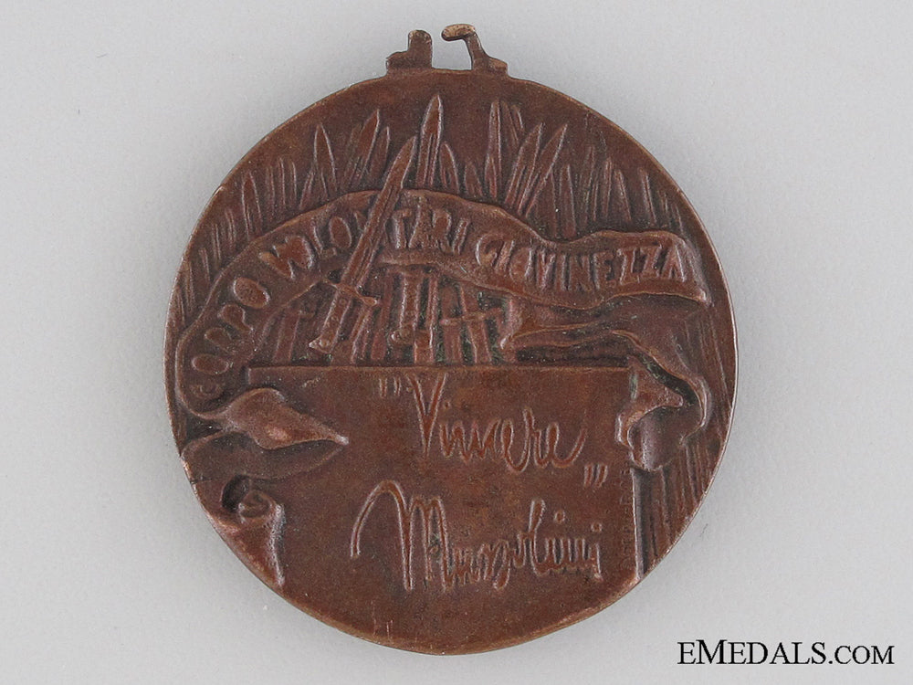 italian_youth_volunteers_corps_march_medal_img_02.jpg5304cb2773817