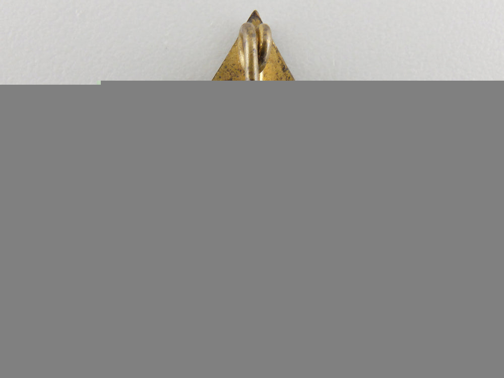 a_golden_hj_honour_badge;_rzm_marked_img_02.jpg5579932ba99dc